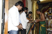 Lucky Movie Opening